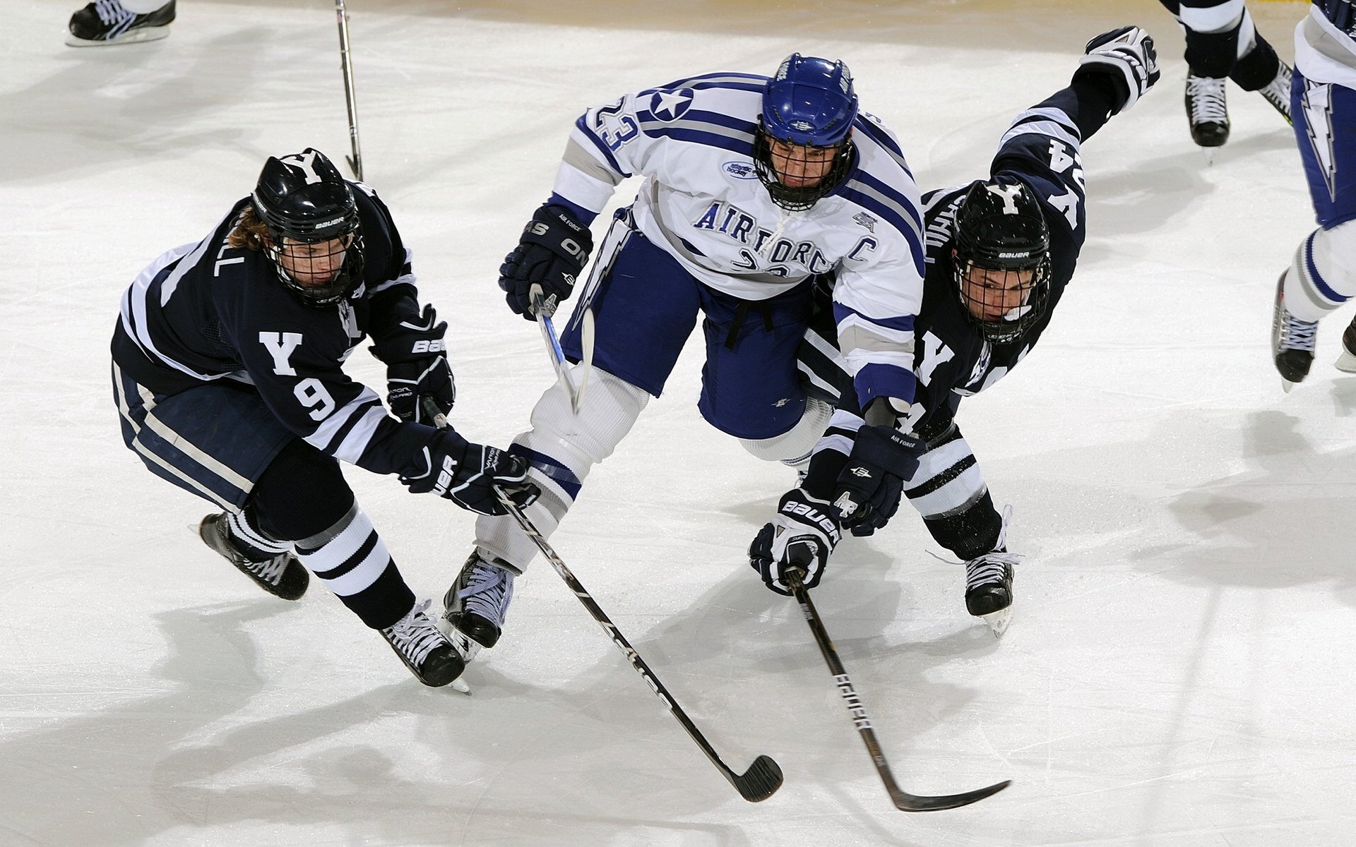 WRC最美赛道:边看比赛边享受自然之美,wrc 比赛